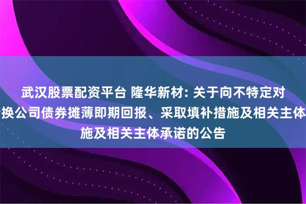 武汉股票配资平台 隆华新材: 关于向不特定对象发行可转换公司债券摊薄即期回报、采取填补措施及相关主体承诺的公告