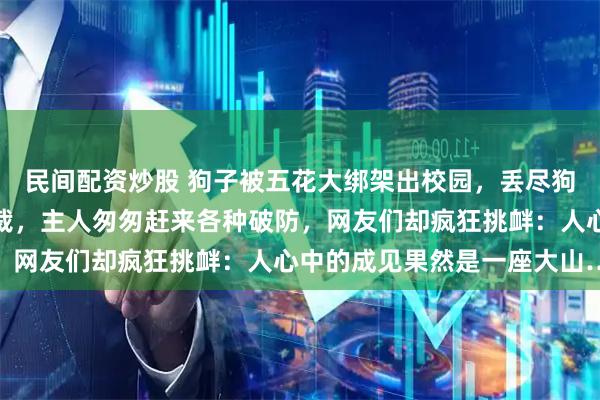 民间配资炒股 狗子被五花大绑架出校园，丢尽狗脸，回家后还被主人制裁，主人匆匆赶来各种破防，网友们却疯狂挑衅：人心中的成见果然是一座大山…